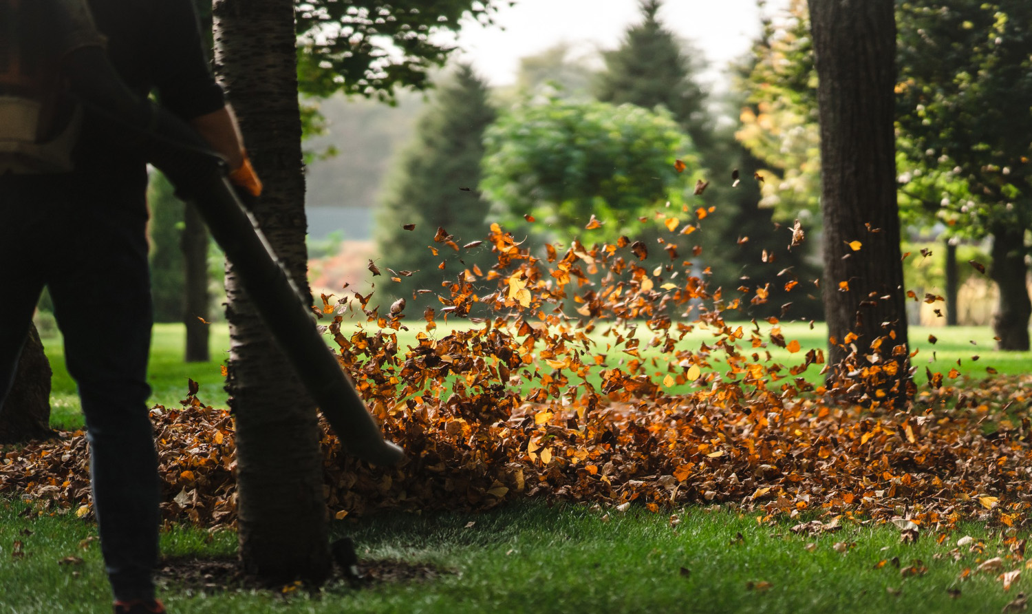 Débroussaillage à Le Bugue